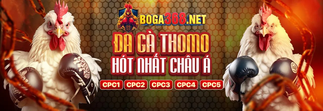 Hình ảnh chính về cá cược đá gà trực tuyến trên ff168 Android